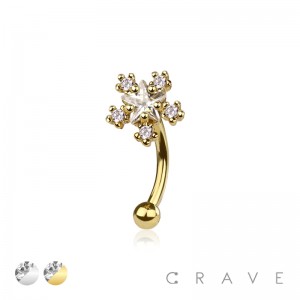 MULTI STAR 316L SURGICAL STEEL CURVED BARBELL