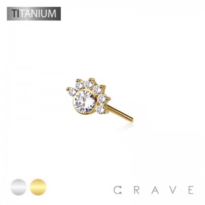 IMPLANT GRADE TITANIUM THREADLESS PUSH IN GOLDEN HOUR CZ TOP PART(TOP PART ONLY)