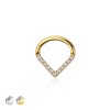 316L SURGICAL STEEL HINGED SEGMENT HOOP RING WITH PAVE CZ SINGLE LINE CHEVRON