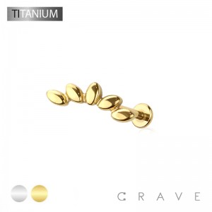 IMPLANT GRADE SOLID TITANIUM FAN ARCH THREADLESS (PUSH IN) TOP LABRET SET