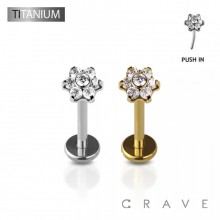 MULTI CZ FLOWER IMPLANT GRADE TITANIUM THREADLESS PUSH IN LABRET SET